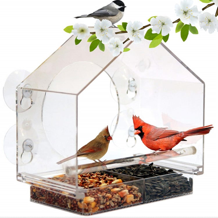 🐦 Ablak madár etető - Hot Sale🔥🔥